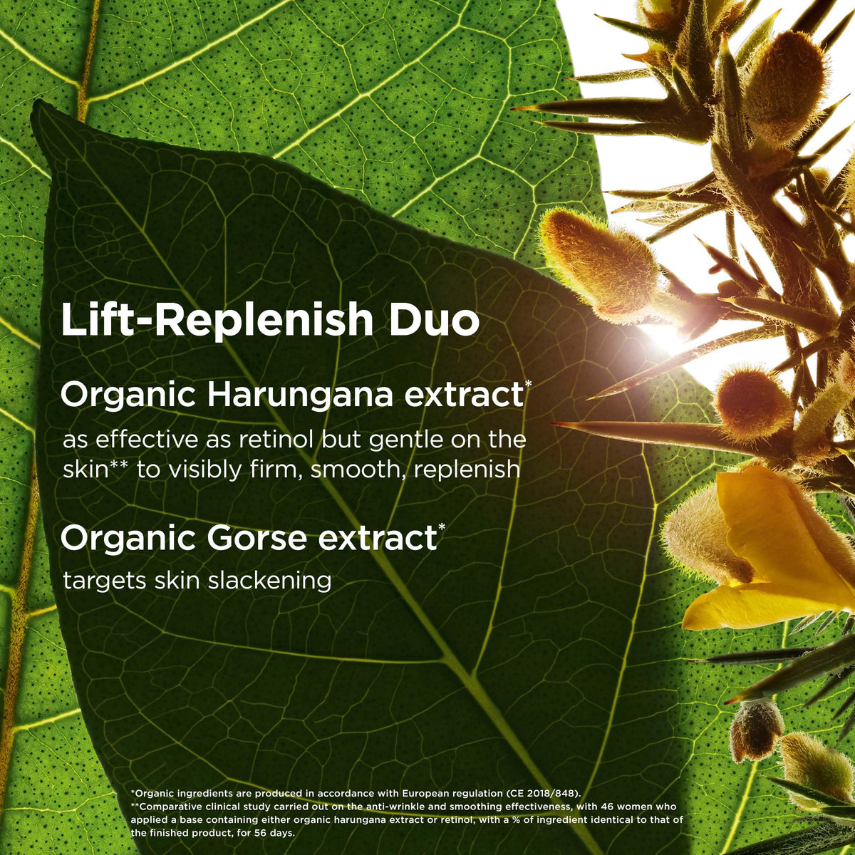 Clarins cream texture closeup showing rich consistency benefit: nourishing overnight hydration