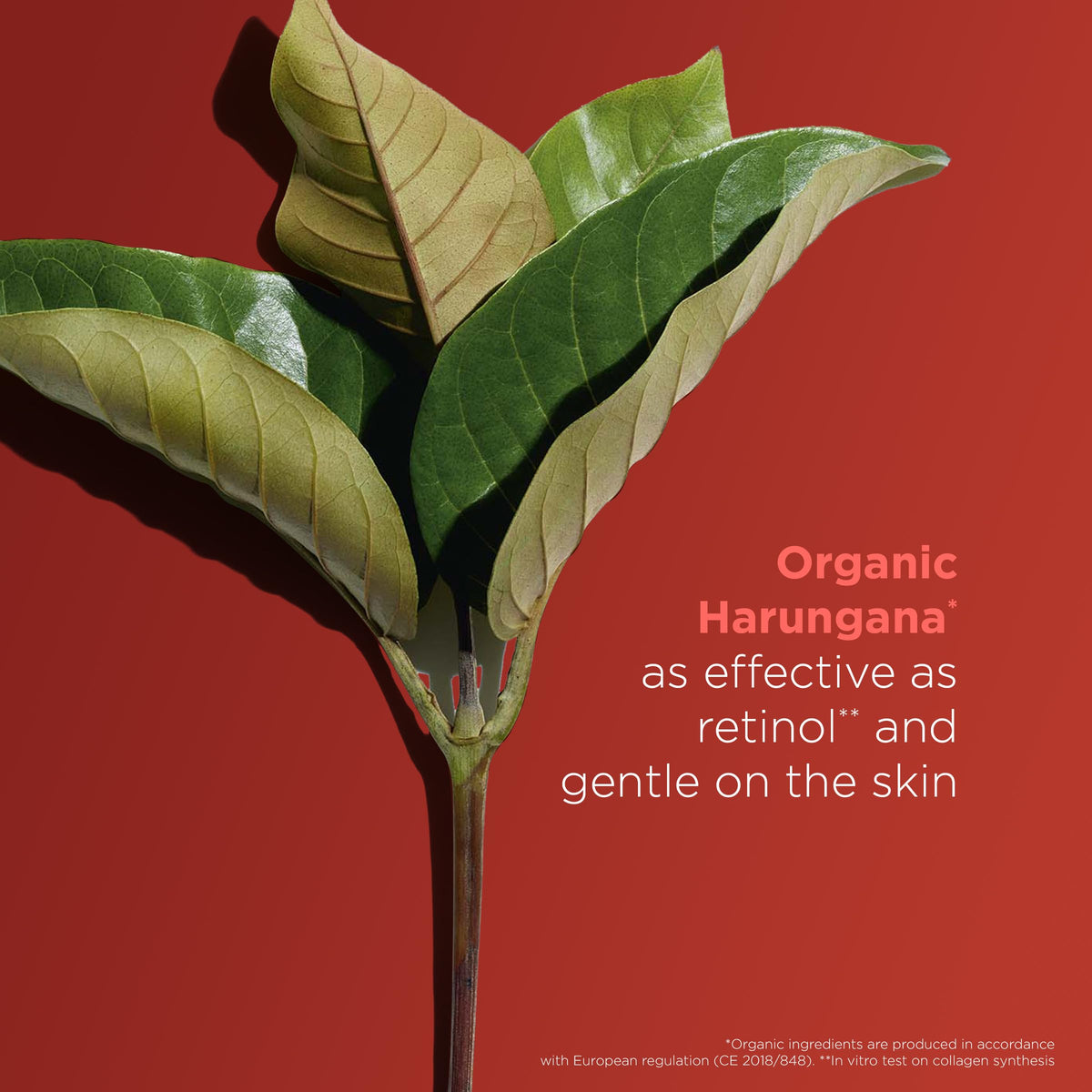 Clarins applied to model neck illustrating smoother, firmer look