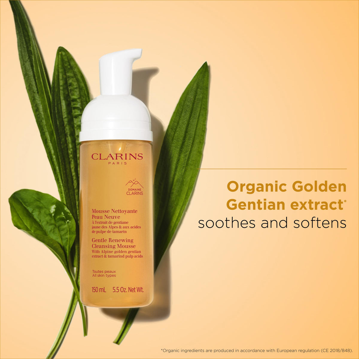 Clarins tamarind extract visual emphasizing natural AHA exfoliation benefits