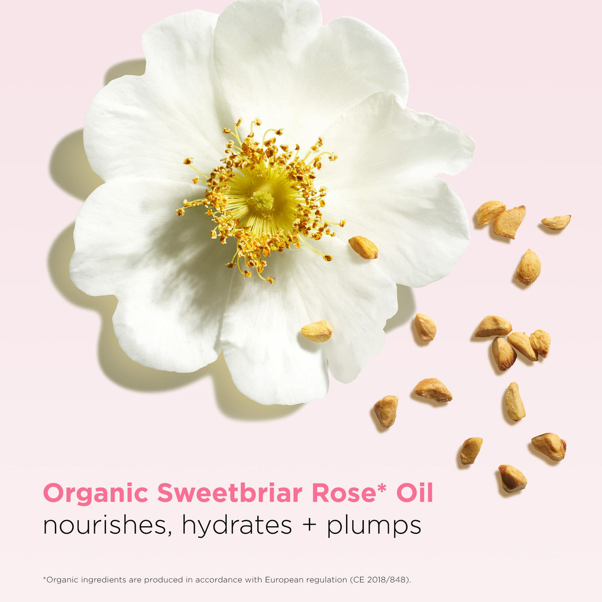 Clarins lip oil balm on lips pale pink illustrating natural tint and shine benefit