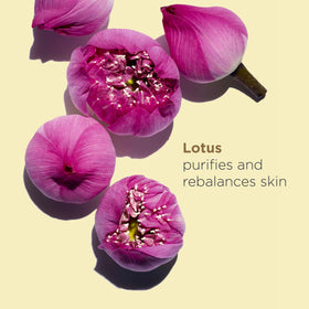 Clarins oil texture closeup demonstrating lightweight absorption benefit