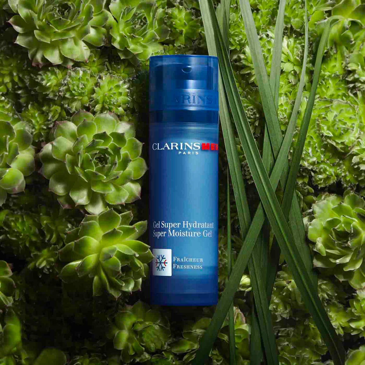 CLARINS label and ingredients detail showing plant extracts for hydration