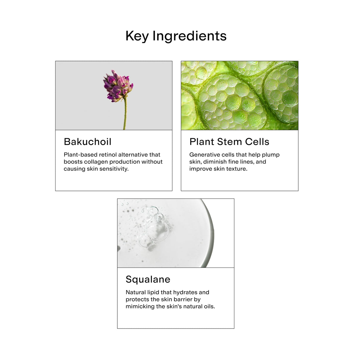 CLEARSTEM HYDRAGLOW paired with CELLRENEW serum showing complementary routine benefit