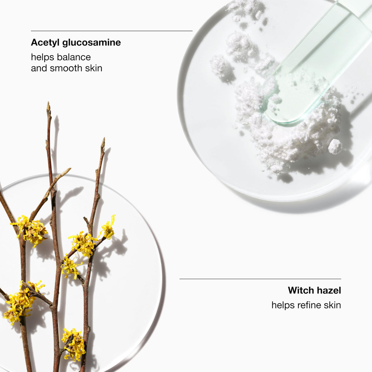 Clinique Clarifying Lotion 2 ingredient list close-up highlighting key actives