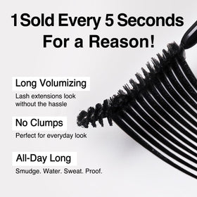 CLIO PROFESSIONAL brush texture highlighting smooth layering