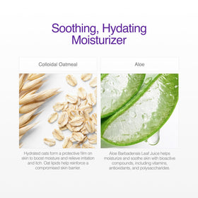 CLn creamy lotion texture close-up showing rich moisturizing feel