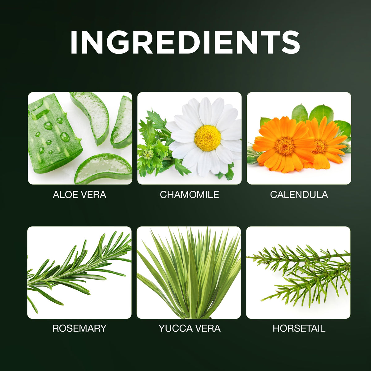 Clubman Pinaud botanical ingredients display highlighting soothing plant extracts
