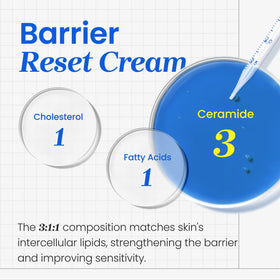 CNP Barrier Reset Cream being applied to hand illustrating smooth spreadability and instant comfort