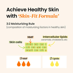 CNP close-up texture highlighting oil-in-cream finish for quick absorption
