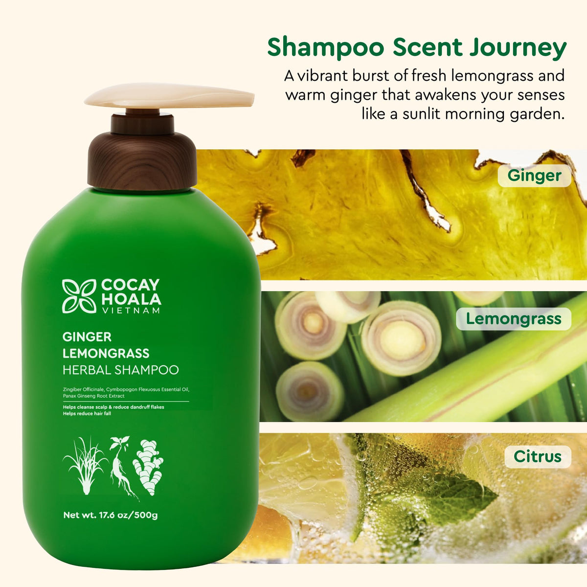 COCAY HOALA VIETNAM illustrative before and after for fuller-looking hair