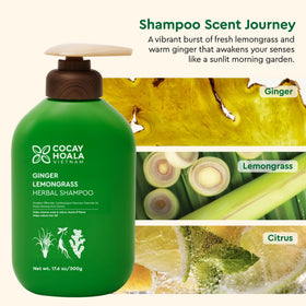 COCAY HOALA VIETNAM illustrative before and after for fuller-looking hair