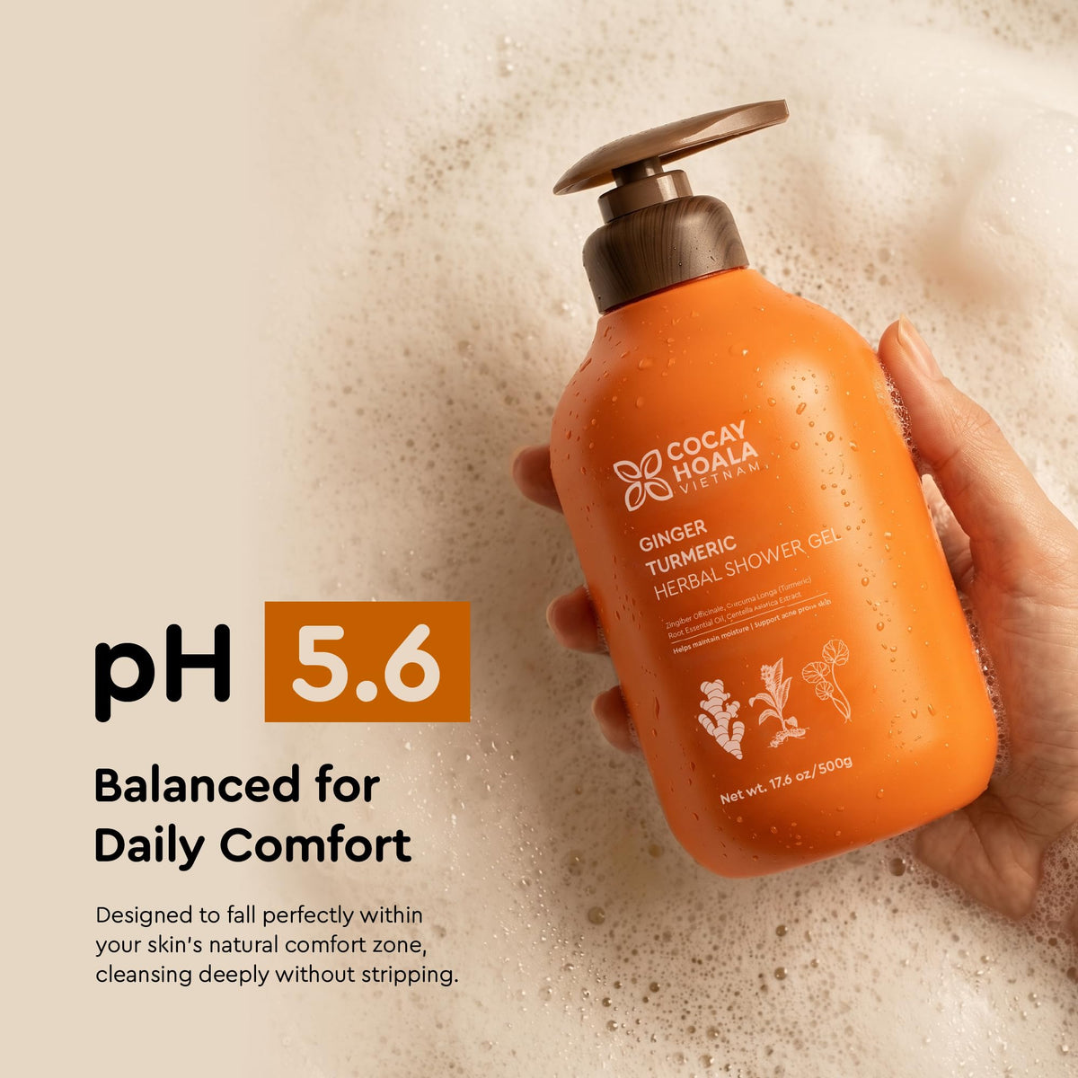 COCAY HOALA VIETNAM turmeric ginger centella ingredients display for soothing care