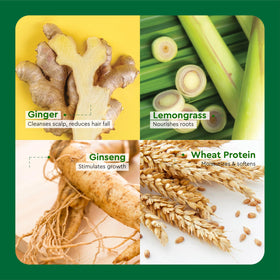 COCAY HOALA VIETNAM label close-up listing ginger and lemongrass