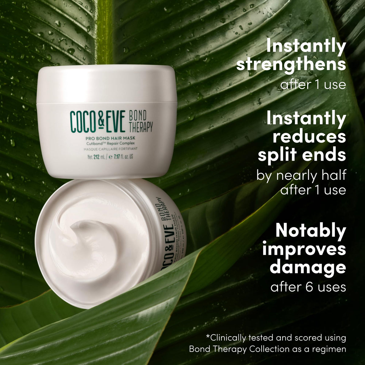 Coco & Eve key botanical ingredients close-up for nourishment