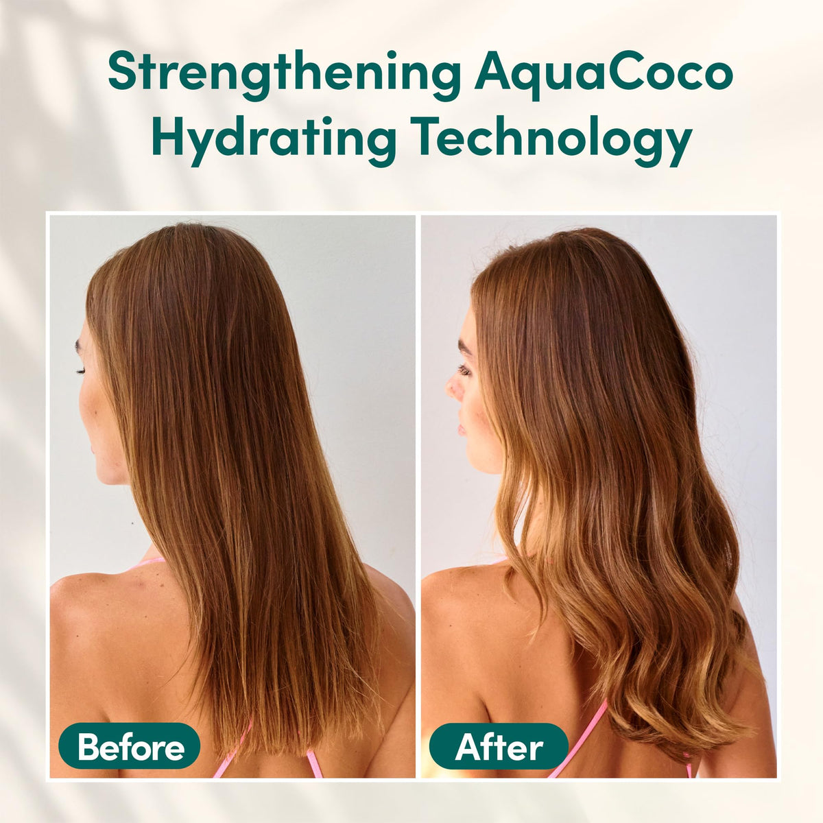 Coco & Eve coconut and fig ingredients illustrating natural nourishment