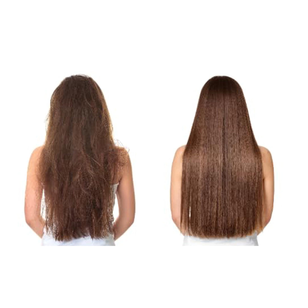 cocojojo almonds and oil display indicating natural cold-pressed source