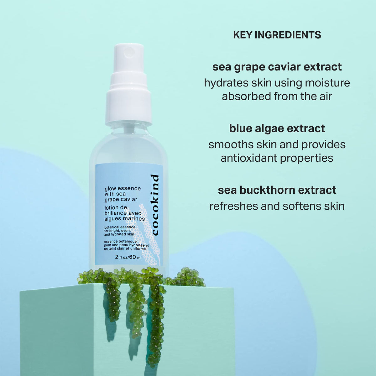 Close-up of sea grape caviar ingredient representing hydration benefits in Cocokind formula