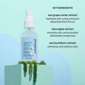 Close-up of sea grape caviar ingredient representing hydration benefits in Cocokind formula