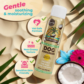Coconut Coast texture dispensed to show non-greasy aloe and vitamin E blend