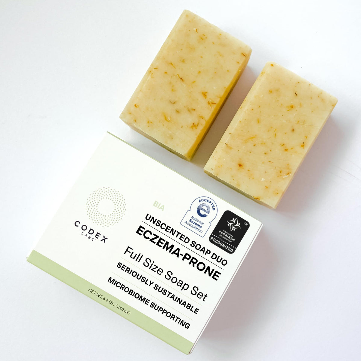 Codex Labs ingredients display with shea butter and olive oil showcasing nourishment