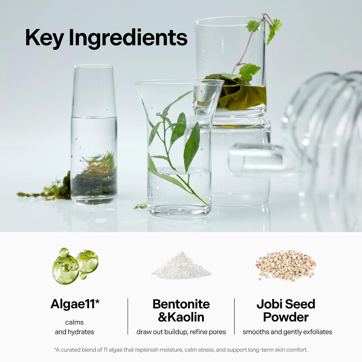 coeternal ingredients label detail highlighting clays and seaweed benefits
