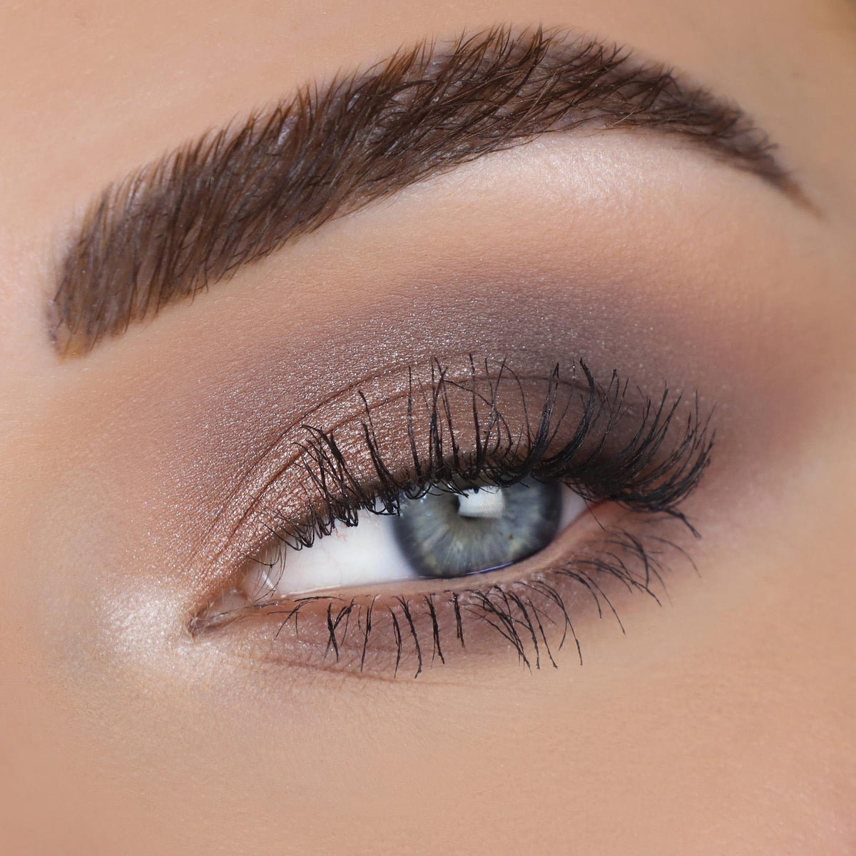 ColourPop metallic pan close-up highlighting reflective shimmer for luminous lids