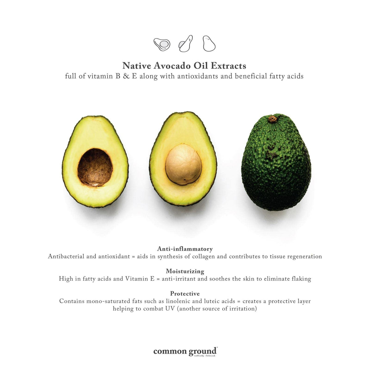 COMMON GROUND avocado extract close-up highlighting hydration boost