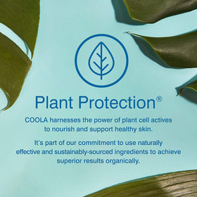 COOLA close-up of sheer texture demonstrating fast absorption without greasiness