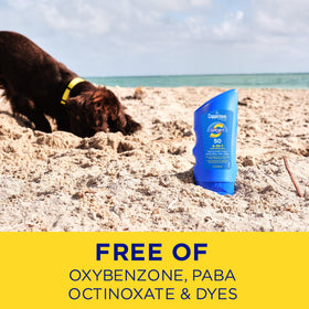 Family at the beach using Coppertone for dependable outdoor protection