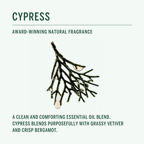 Corpus ingredients flatlay with botanical elements showing nourishing formula