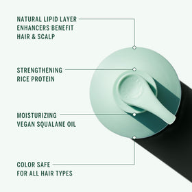 Corpus shampoo foam texture close-up showing gentle lather benefit