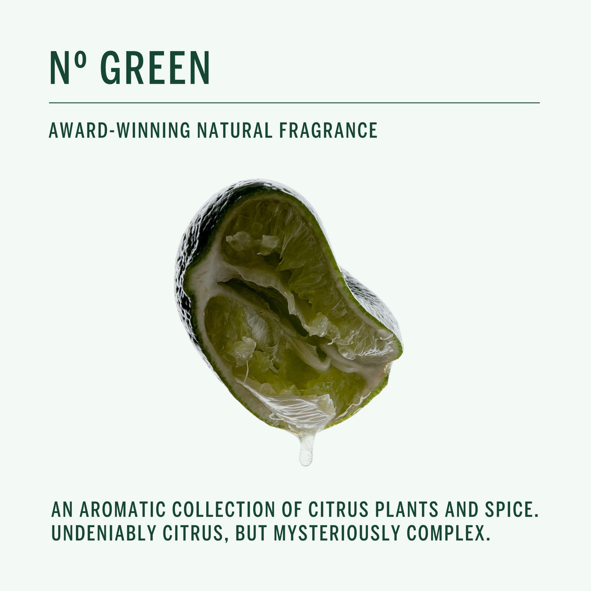 Close-up lather texture of Corpus Nº Green showing gentle foam and moisturizing feel