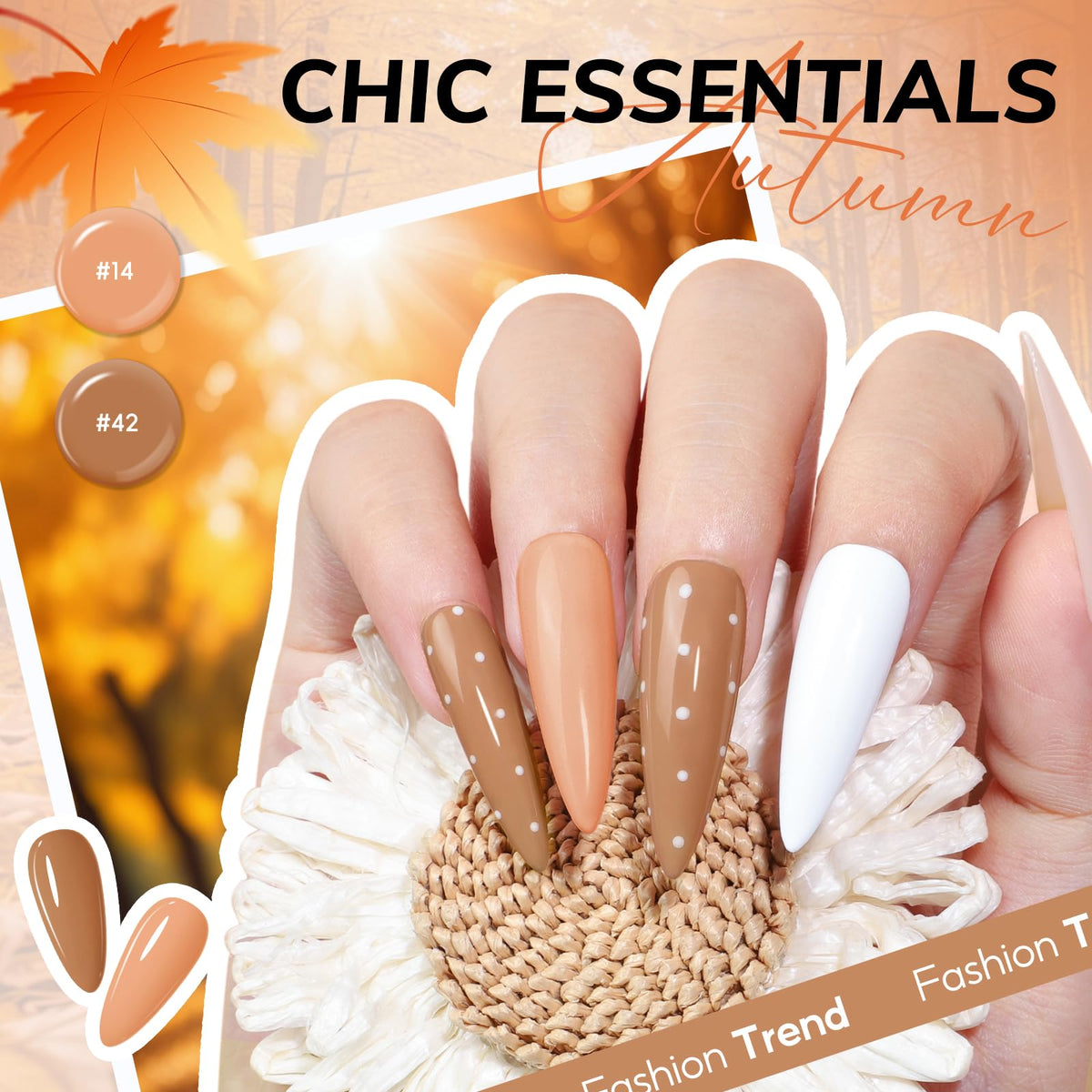 COSCELIA 40-color gel polish array displaying seasonal shades for styling
