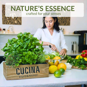 Cucina label close up listing olive oil and plant extract ingredients, supports gentle care