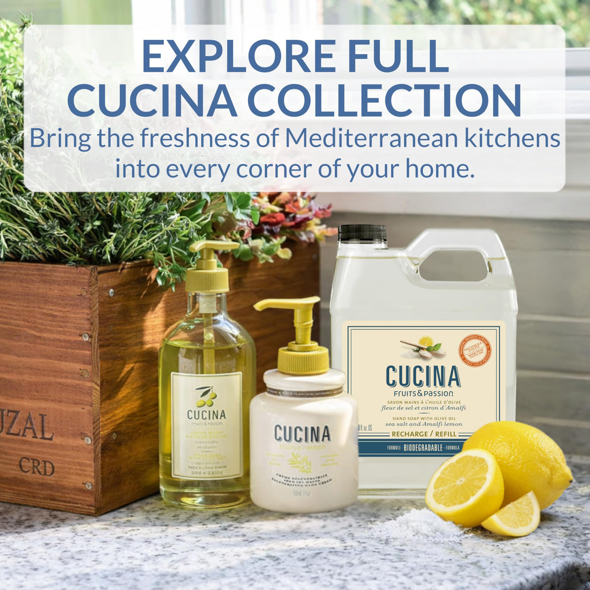 Cucina lather on hands demonstrating gentle cleansing and skin comfort benefit