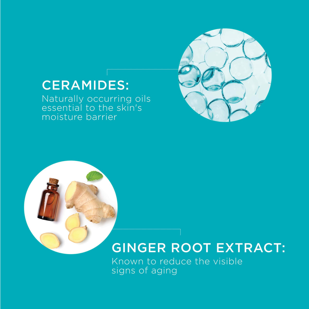 Curel serum label close-up showing ceramides and ginger root extract