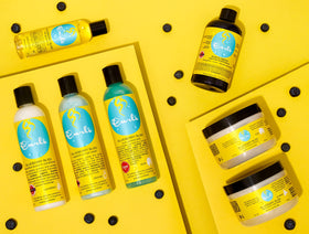 Curls Blueberry Bliss on bathroom shelf in routine setting for daily use