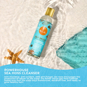 CURLS close-up of shampoo texture on palm highlighting creamy sea moss-rich lather for moisture