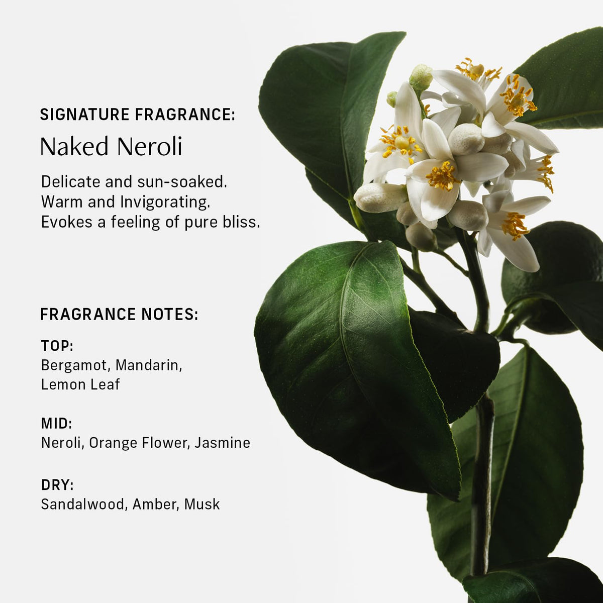 CYKLAR label close-up highlighting niacinamide squalane benefits