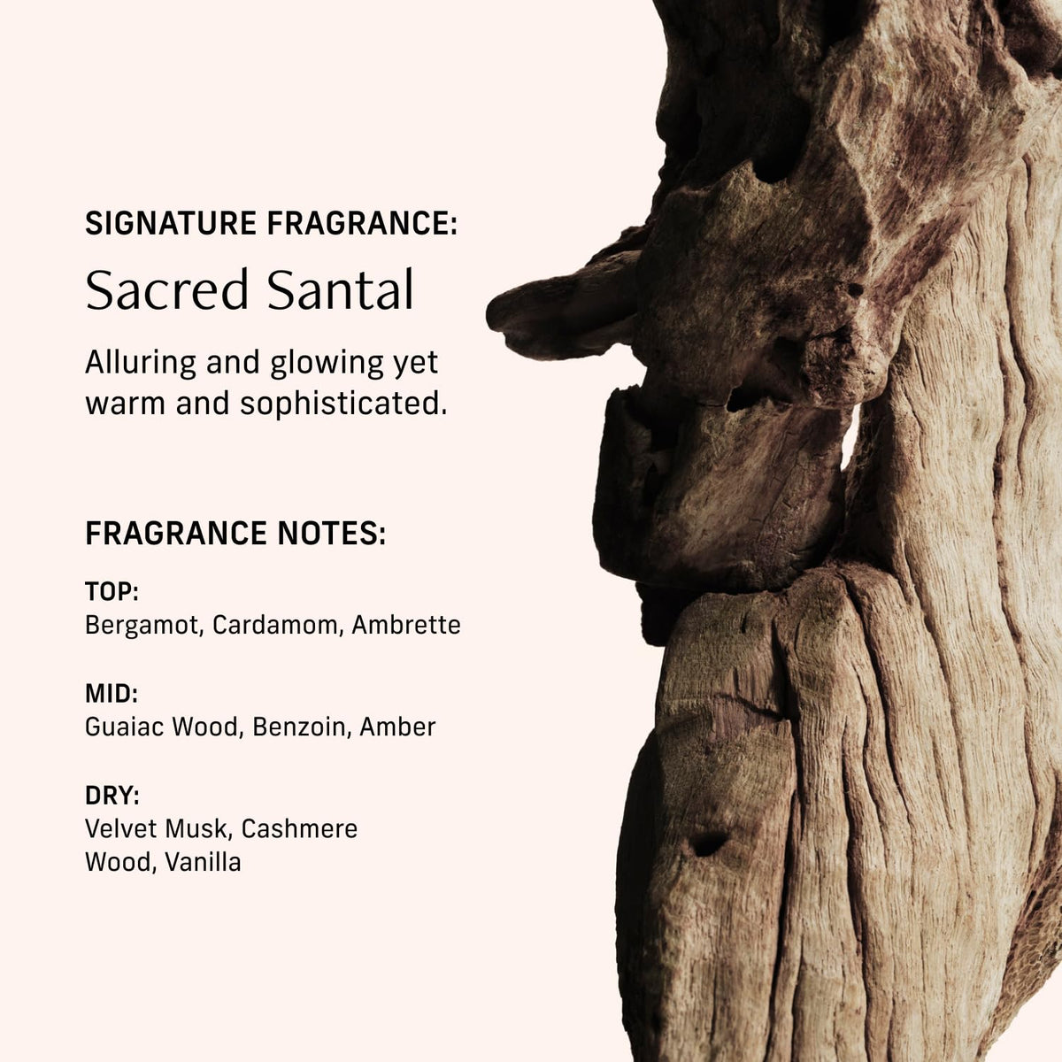 CYKLAR Sacred Santal label and ingredients view for transparent product information and trust