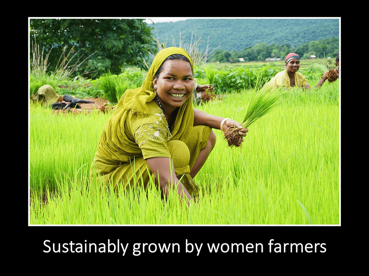 DAANA farm scene representing sustainable sourcing and family farms