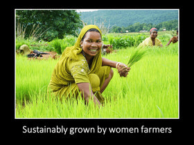 DAANA farm scene representing sustainable sourcing and family farms