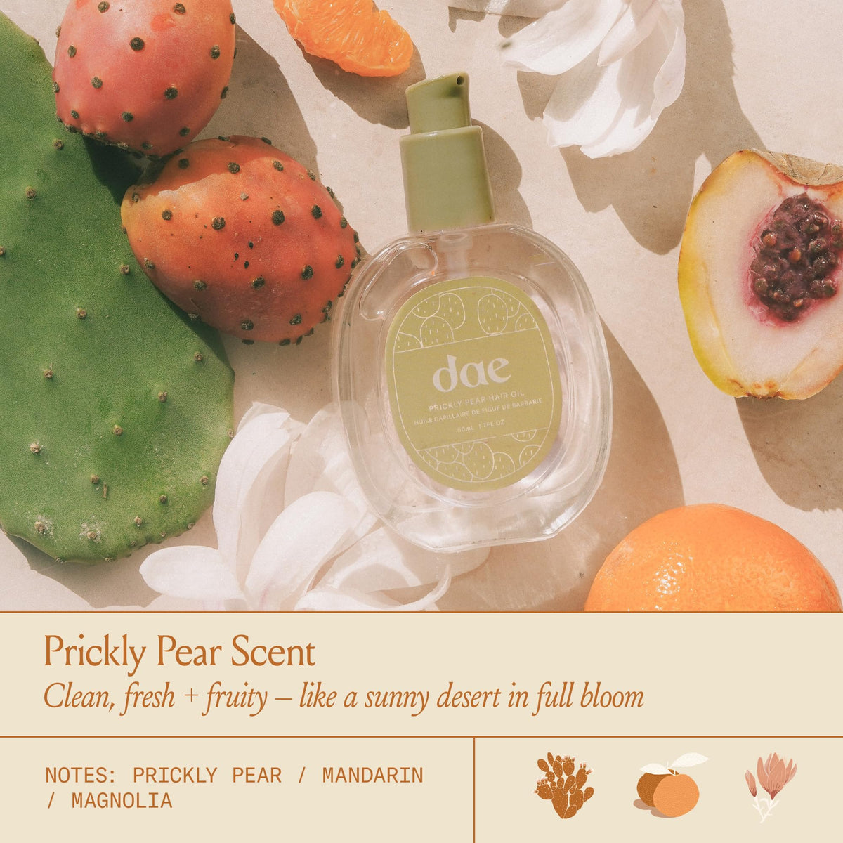 DAE bottle with label visible listing key ingredients for ingredient-aware shoppers