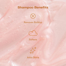 DAE shampoo back label closeup listing key ingredients and benefits