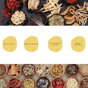 Daeng Gi Meo Ri ginseng root close-up highlighting energizing ingredient