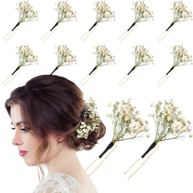 Daifunli front packaging showing 12 hair pins and value set benefit