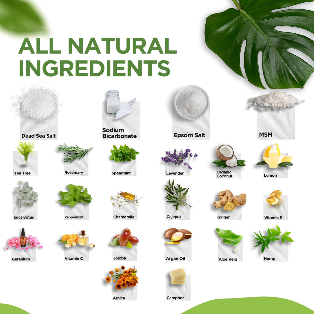 daily remedy size and scale comparison next to hand for portion guidance