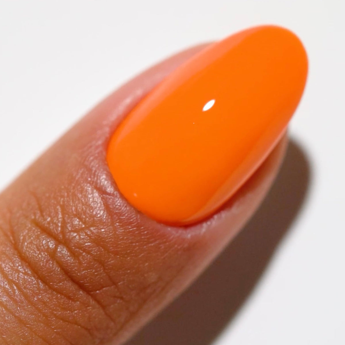 DAISY DND open bottles showing gel and lacquer for application clarity
