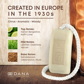 Dana lifestyle shower scene with soap in use suggesting everyday grooming ritual