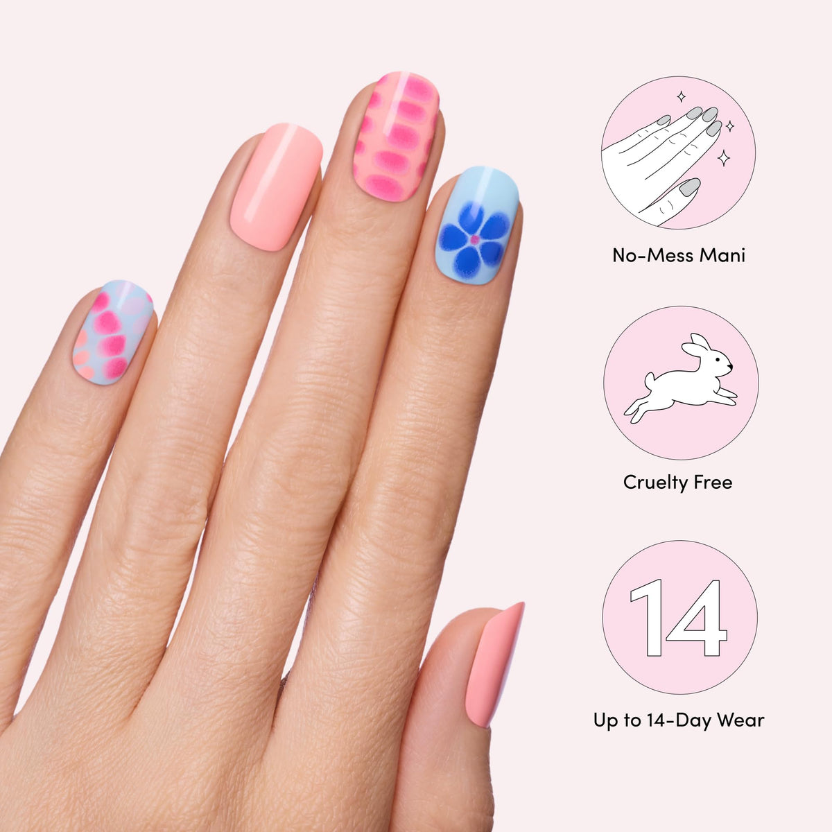 Dashing Diva kit contents laid out for clear application steps